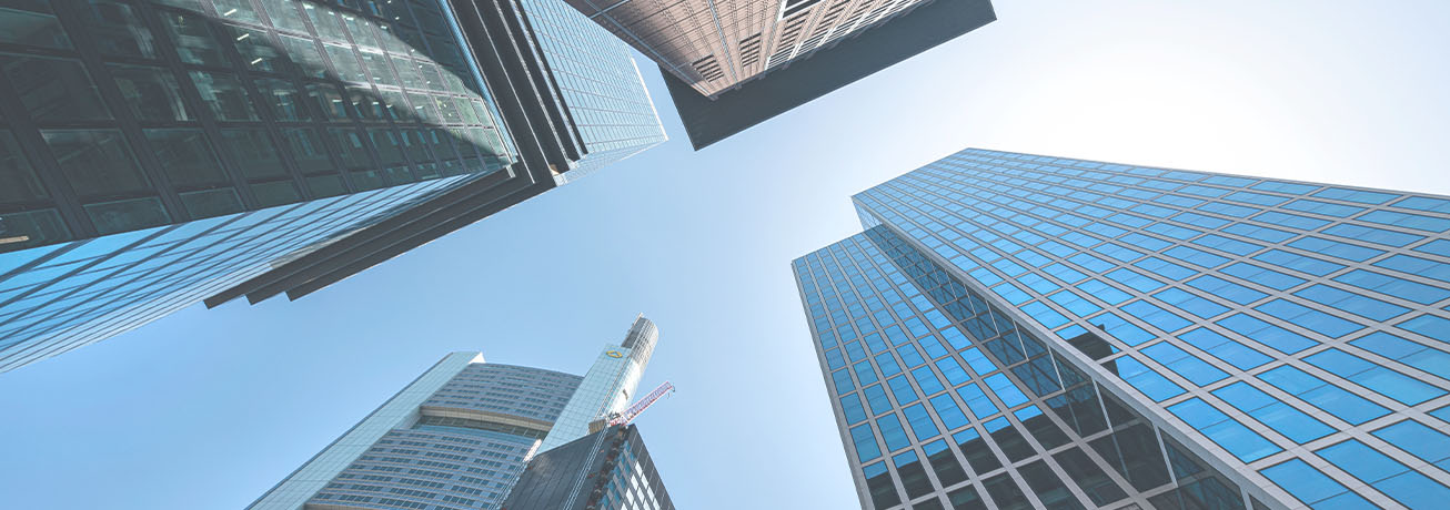 DZ BANK: Halbjahr mit starkem Rückenwind