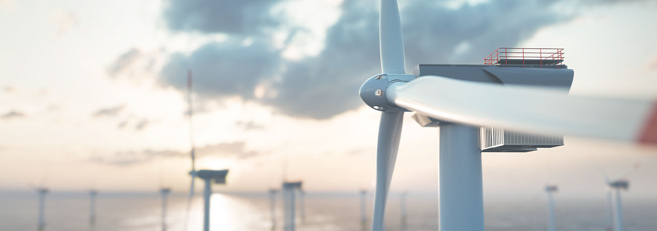 Green Jobs vs. White-Collar: Wie sich der Talentmarkt 2026 neu sortiert